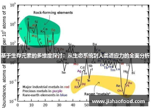 基于生存元素的多维度探讨：从生态系统到人类适应力的全面分析
